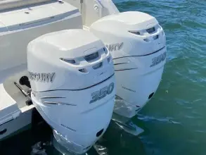 Thumbnail von Boston Whaler 330 Outrage