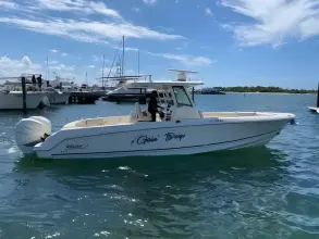Thumbnail von Boston Whaler 330 Outrage