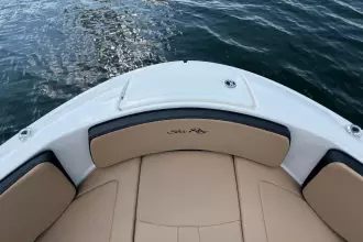 Thumbnail von Sea Ray SPX 190