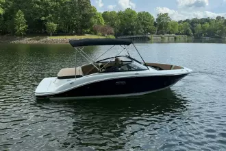 Thumbnail von Sea Ray SPX 190