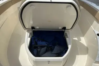 Thumbnail von Scout 240 XSF