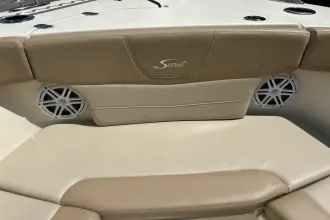 Thumbnail von Scout 240 XSF