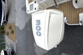 Thumbnail von Scout 240 XSF