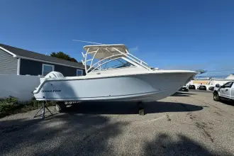 Thumbnail von Sailfish 245 DC