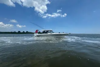 Thumbnail von Boston Whaler 350 Realm