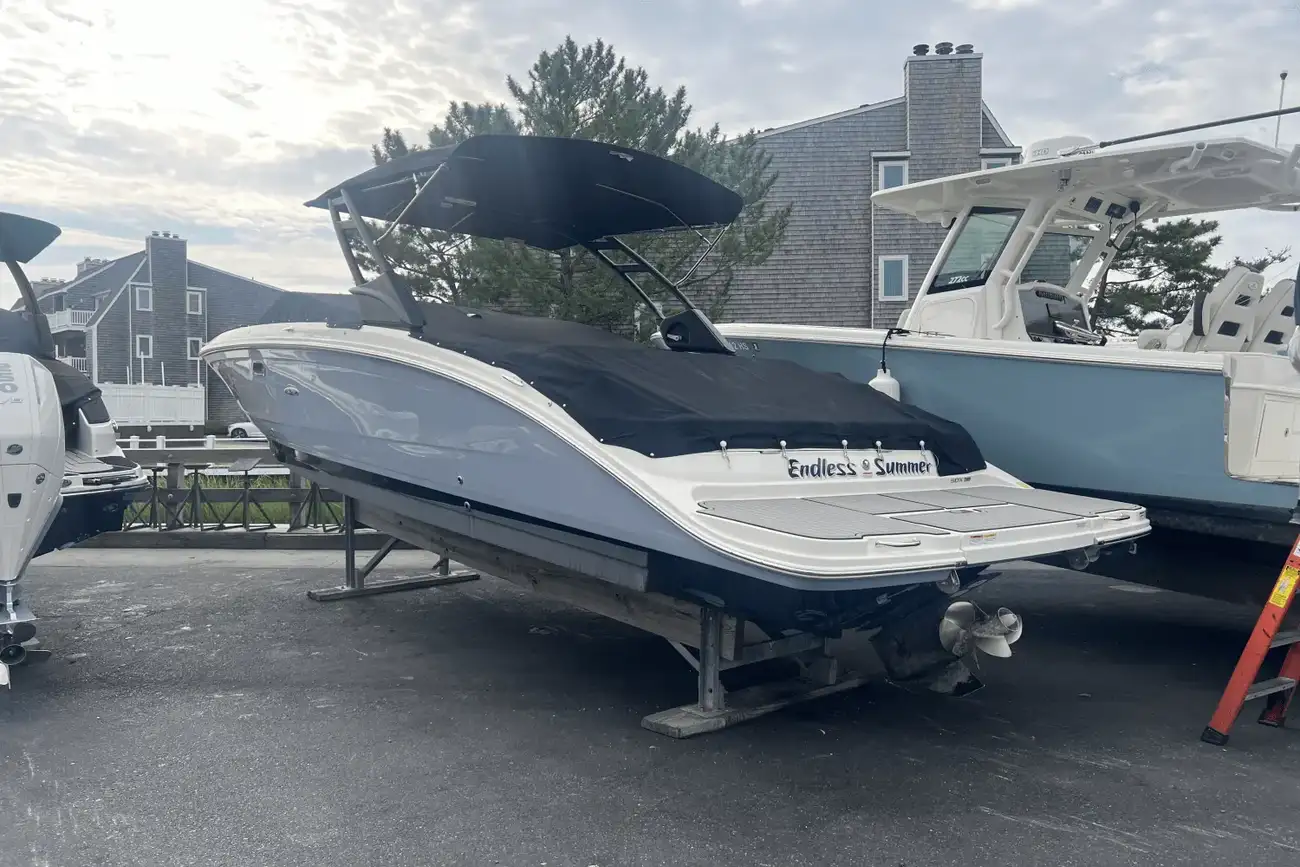 Sea Ray SDX 290