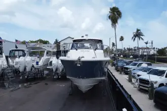 Thumbnail von Boston Whaler 365 Conquest