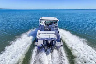 Thumbnail von Aviara 32