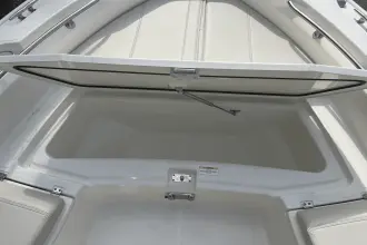 Thumbnail von Boston Whaler 250 Dauntless