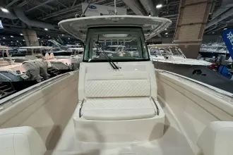 Thumbnail von Grady White Canyon 326