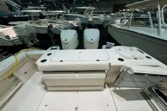 Thumbnail von Grady White Canyon 326