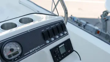 Thumbnail von Boston Whaler 170 Montauk