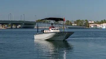 Thumbnail von Boston Whaler 170 Montauk