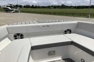 Thumbnail von Sea Ray SDX 270 Surf