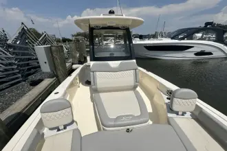 Thumbnail von Scout 261 XSS