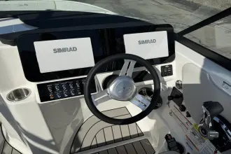 Thumbnail von Sea Ray SDX 250