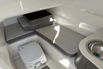 Thumbnail von Sea Ray SDX 250