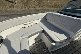 Thumbnail von Sea Ray SDX 250