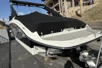 Thumbnail von Sea Ray SDX 250