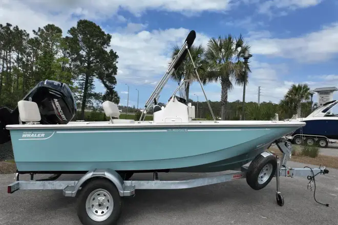 Boston Whaler 170 Montauk