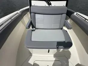 Thumbnail von Boston Whaler 250 Outrage