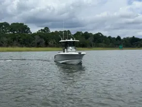 Thumbnail von Boston Whaler 250 Outrage