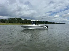 Thumbnail von Boston Whaler 250 Outrage