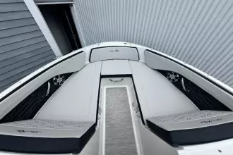 Thumbnail von Sea Ray SPX 210 Outboard