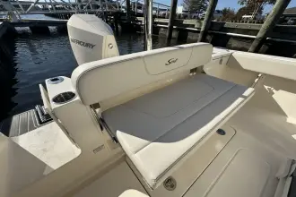 Thumbnail von Scout 240 XSF