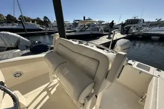 Thumbnail von Scout 240 XSF