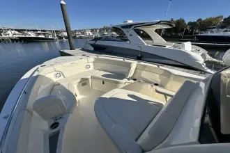 Thumbnail von Scout 240 XSF