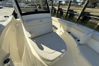 Thumbnail von Scout 240 XSF