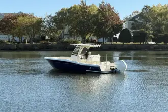 Thumbnail von Scout 240 XSF