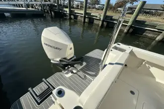 Thumbnail von Scout 240 XSF