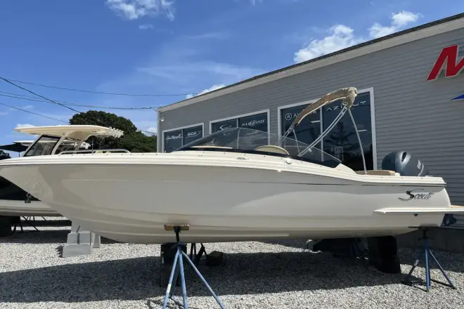 Scout 215 Dorado
