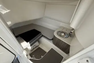 Thumbnail von Sea Ray SDX 250 Surf