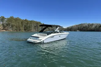 Thumbnail von Sea Ray SDX 250 Surf