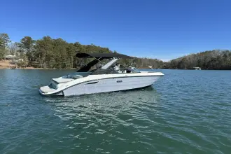 Thumbnail von Sea Ray SDX 250 Surf