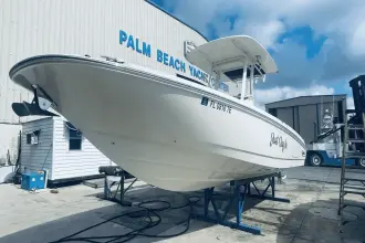 Thumbnail von Boston Whaler 270 Dauntless