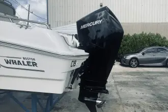 Thumbnail von Boston Whaler 270 Dauntless