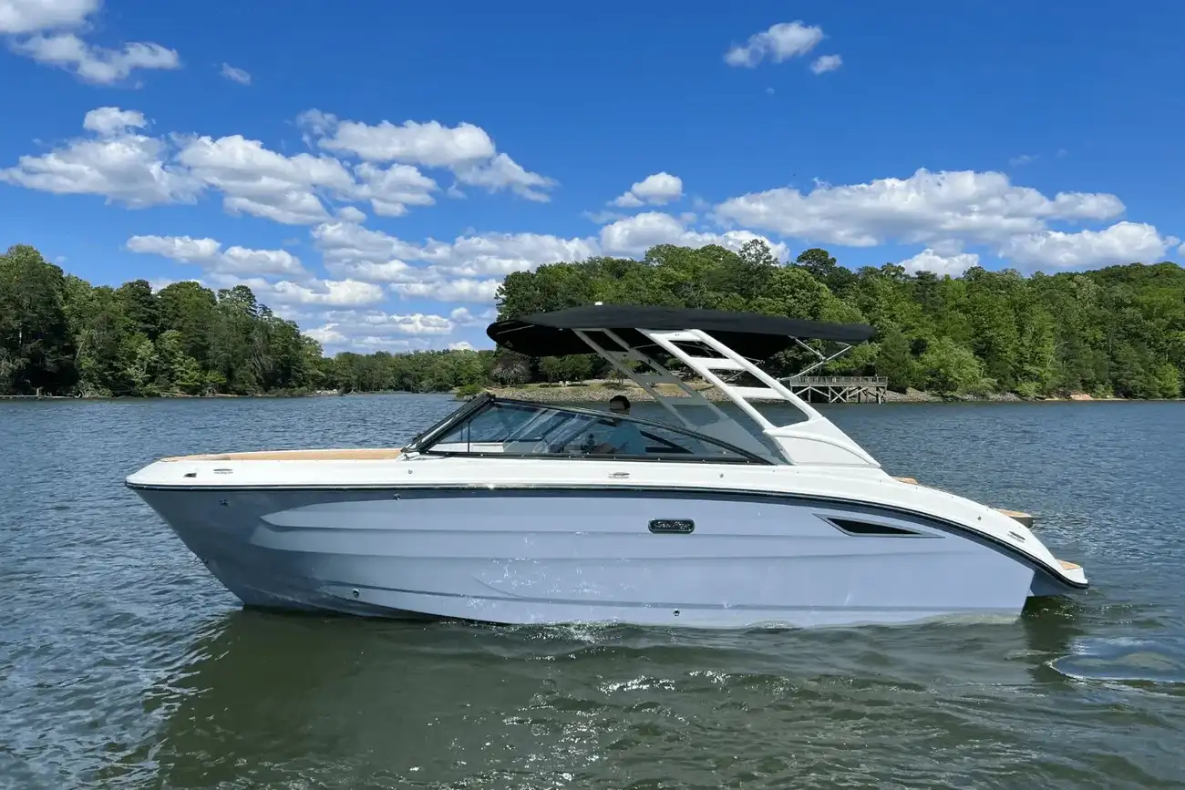 Sea Ray SDX 250