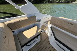 Thumbnail von Sea Ray SDX 250
