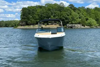 Thumbnail von Sea Ray SDX 250