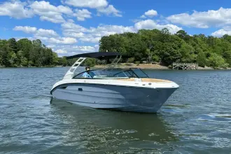 Thumbnail von Sea Ray SDX 250