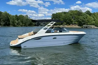 Thumbnail von Sea Ray SDX 250