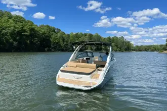 Thumbnail von Sea Ray SDX 250