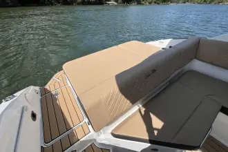 Thumbnail von Sea Ray SDX 250