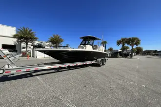 Thumbnail von Scout 261 XSS