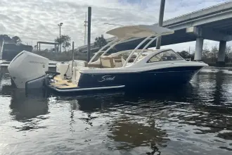 Thumbnail von Scout 240 Dorado