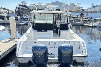 Thumbnail von Pursuit OS 345